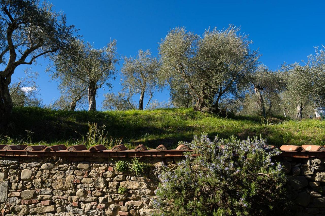 Alloggi In Villa Storica Pescia Ngoại thất bức ảnh